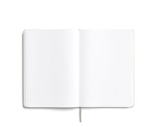 a5-hardcover-notebook-eucalypt-blank