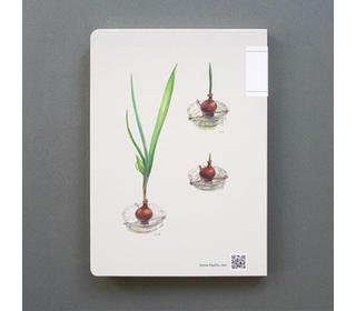 mujinzo-notebook-a5-hyacinth