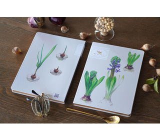 mujinzo-notebook-a5-hyacinth
